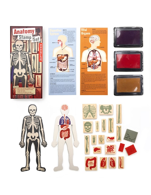 Juego de sellos de anatomía Kikkerland juego didáctico unisex