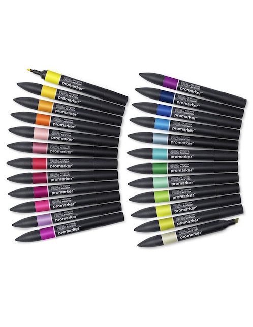 Set marcador base agua Winsor & Newton 24 piezas
