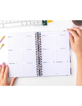 Agenda The Yellow Clip