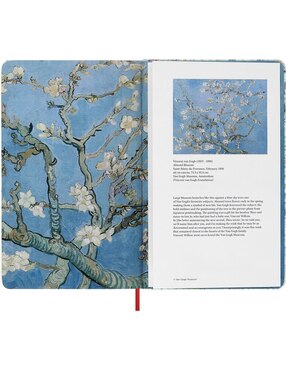 Libreta Moleskine hoja blanca