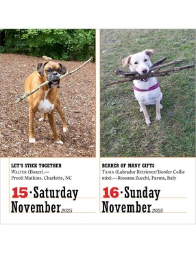Calendario de escritorio Workman Publishing Company 365 Dogs