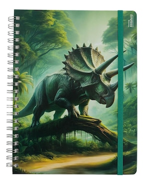 Set libreta Printaform a rayas