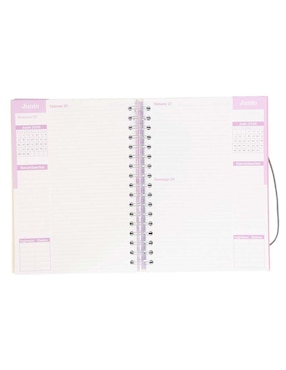 Agenda Upak