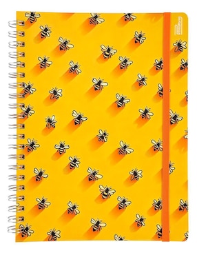Set libreta Printaform a rayas