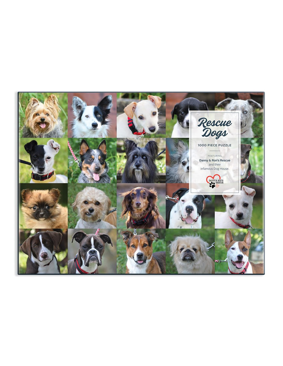 Rompecabezas Perritos 1000 piezas