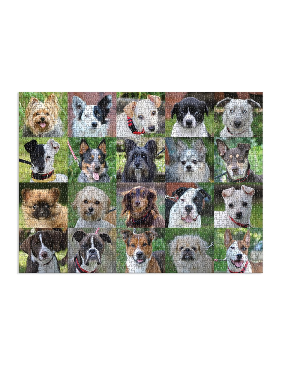 Rompecabezas Perritos 1000 piezas 2