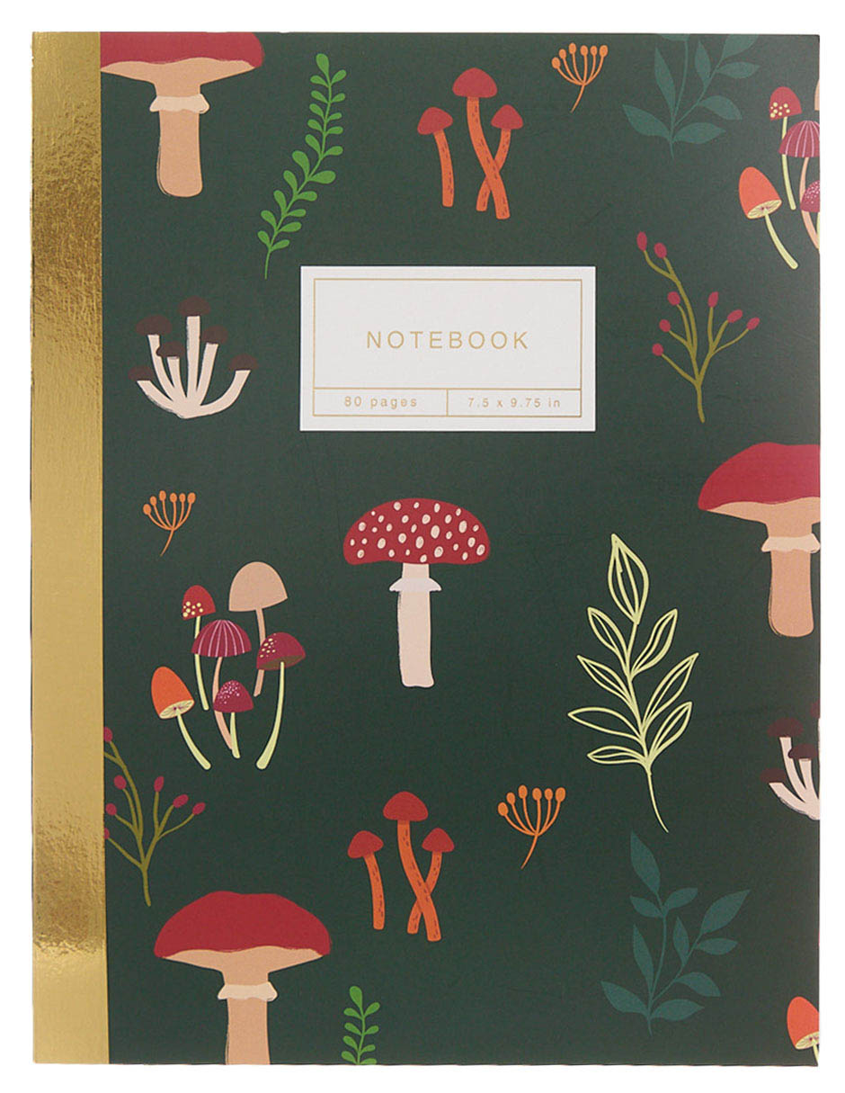 Cuaderno hoja rayada 1