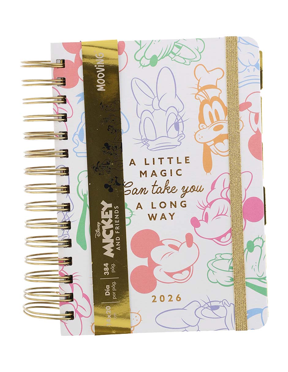 Agenda Mickey and Friends 5